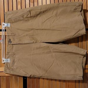 American Eagle Longboard Shorts size 34